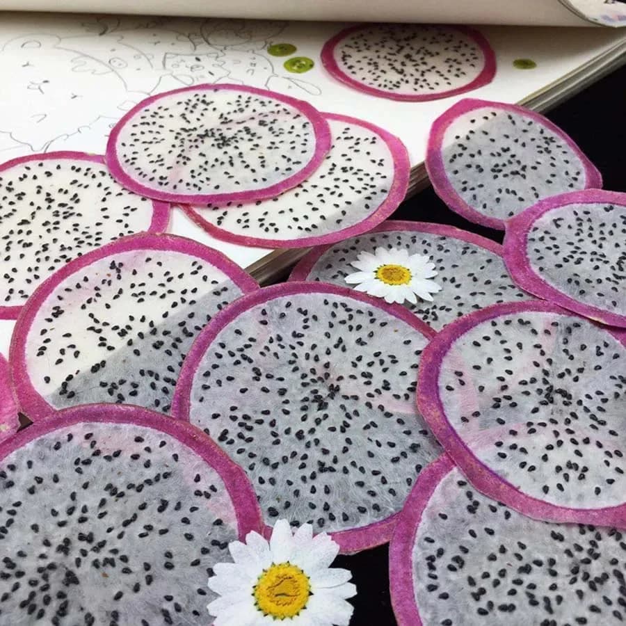 5X Secchi Pressati Hylocereus Undatus Bianco 'Foo-Lon' Fetta Pianta da Frutto Herbario Per Gioielli Cornice per Foto Cassa Del Telefono Segnalibro FAI DA TE