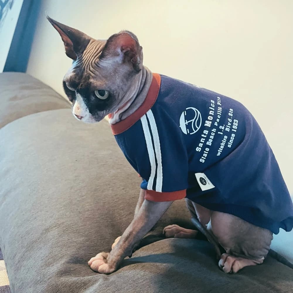 T-shirt in cotone moda per gatto primavera stile Janpanese felpa con lettere a maniche lunghe blu per tuta sfinge Cat north Rex
