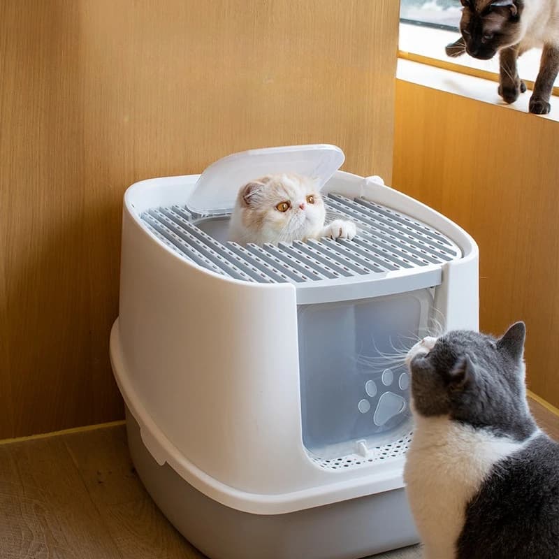Lettiera per Gatti PP Extra Large Completamente Chiusa, Design Smontabile, Facile da Pulire, Deodorante, Toilette per Gatti Adatta a Tutti i Gatti