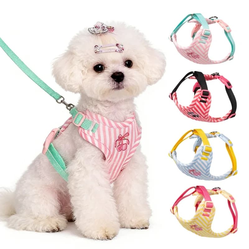 Set Pettorina e Guinzaglio Estivo a Righe per Cani, Pettorina da Addestramento per Esterni, Costume Regolabile per Cuccioli, Accessori per Bulldog Francese