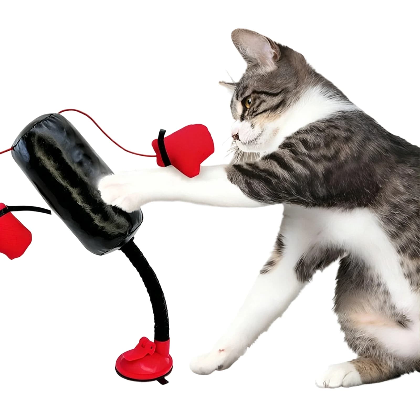 Cat Boxing Bag with Boxing Gloves 13.78 Inch Felines Boxing Exercise Teaser Interactive Kitten Punching Bag for Play & Training