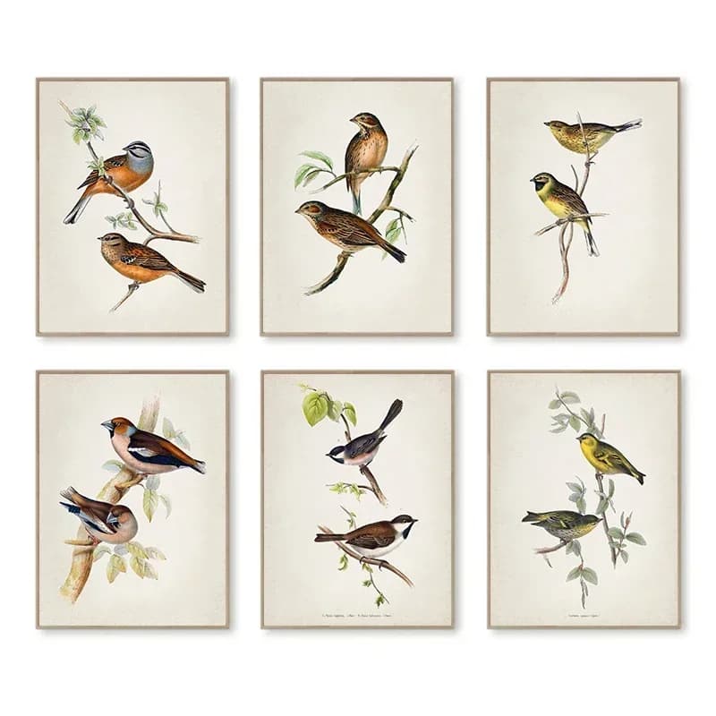 Wall Art Vintage The Bird Stands on A Branch Illustration Posters and Prints Canvas Painting for Living Room Modern Home Dec
