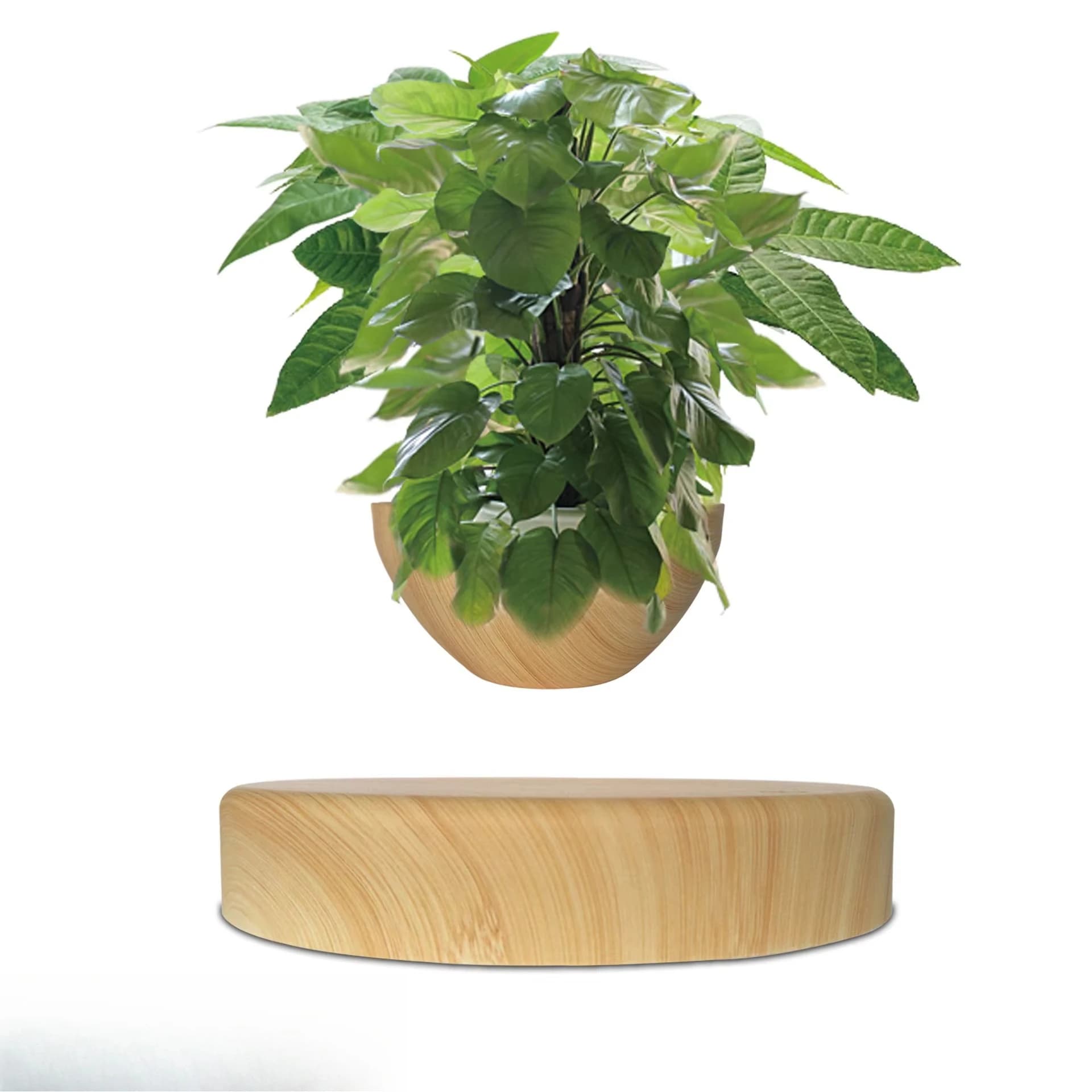 Indoor decorative plant display with magnetic levitation rotating flower pot