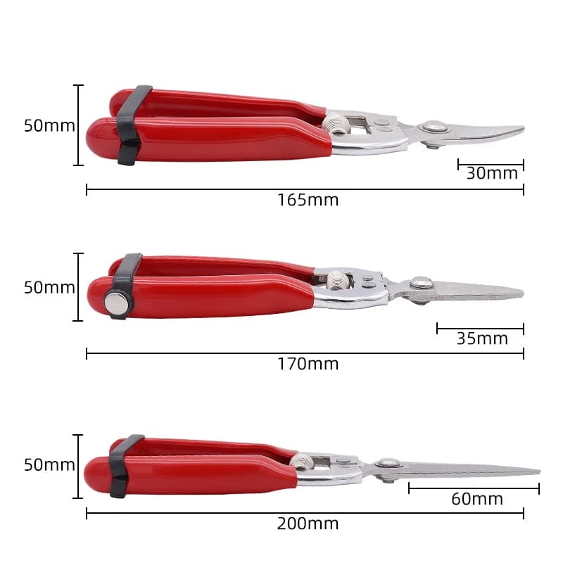 Pourage shears for gardening bonsai Garden scissors Pruning tool Fruit scissors Tree scissors Professional gardeners