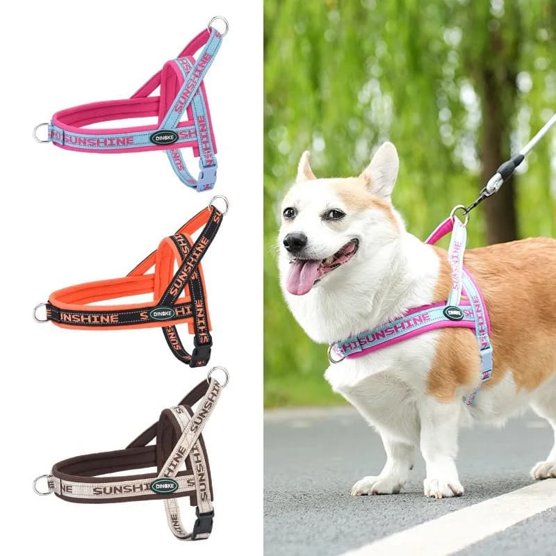 Dog Saddle Walk Dog Strap Dog Chain Small and Medium Dogs Corgi Bear Chest Strap dog collar