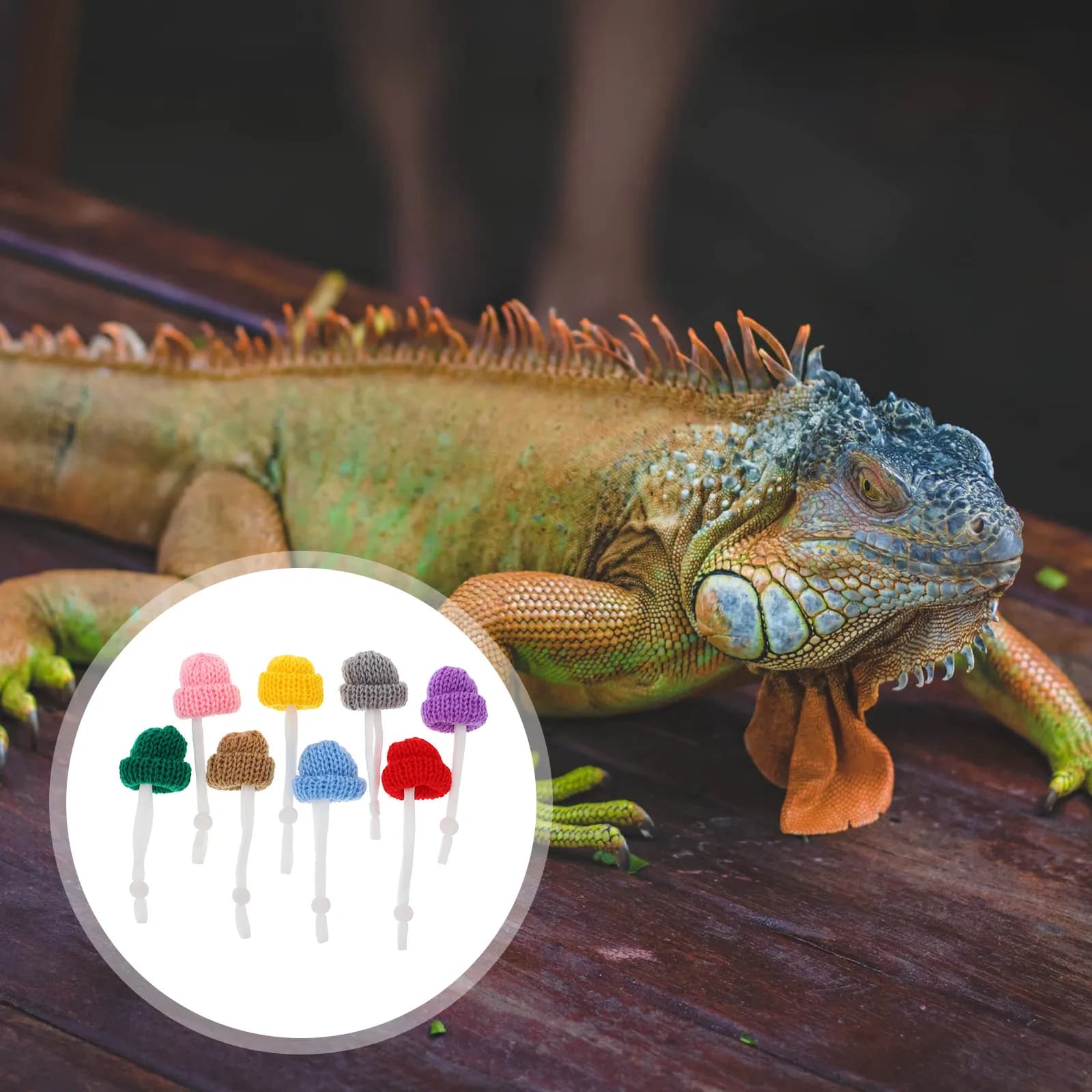 8 Pezzi Mini Cappelli per Animali Domestici in Lana, Regolabili, Comodi ed Eleganti, Ornamenti per Serpenti e Lucertole, Cappello per Serpente, Cappello per Lucertola