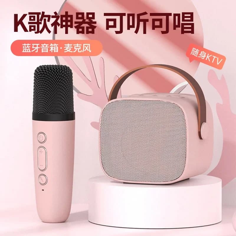 P2 Set Altoparlante audio Bluetooth senza fili con microfono Suono KTV domestico Campeggio Karaoke Macchina da canto Supporto TF Card OTG