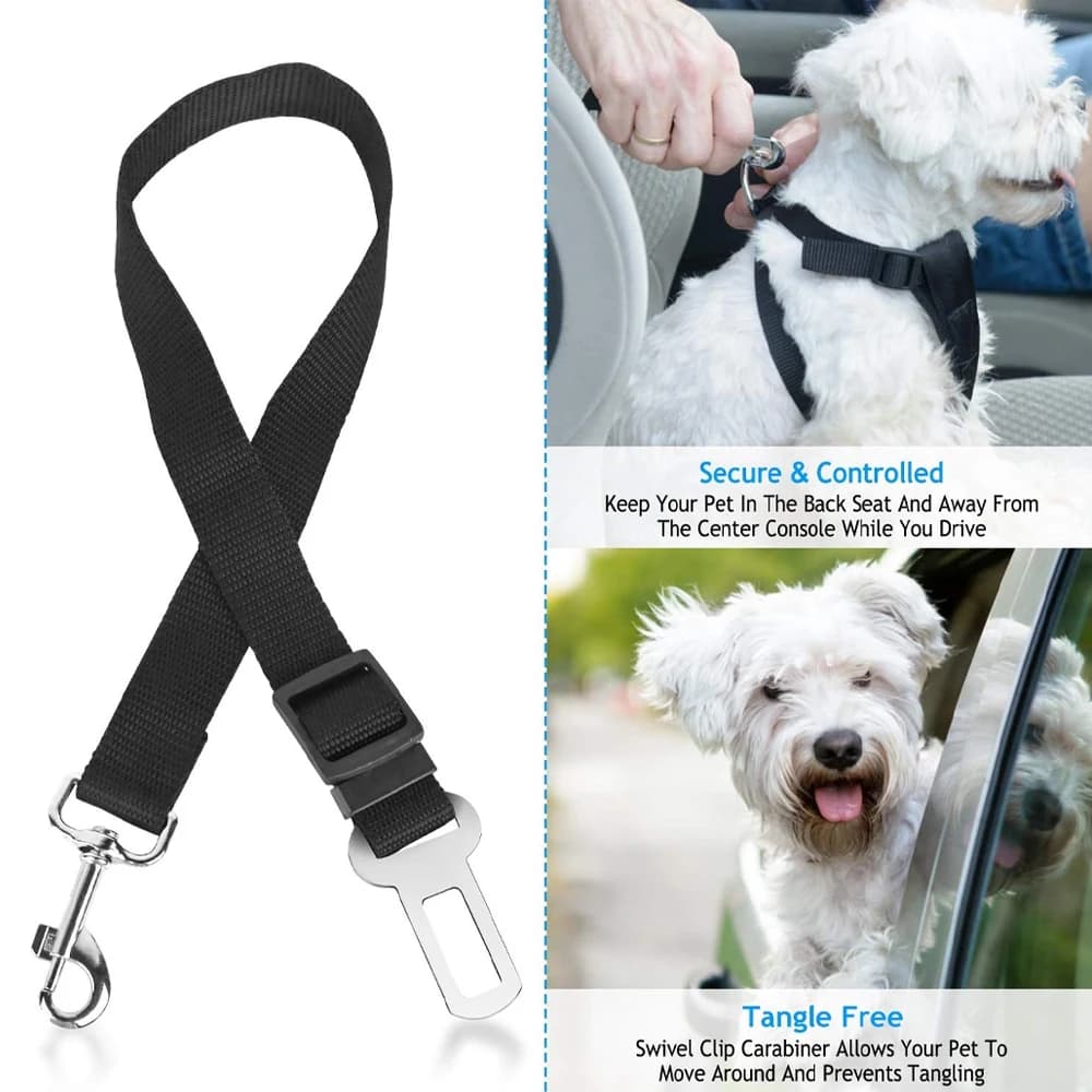 Cintura di sicurezza per cani per auto Cintura di sicurezza per animali domestici in nylon regolabile Supporta tutte le auto Cintura di sicurezza per guinzaglio per cani Gatti e furetti Viaggi