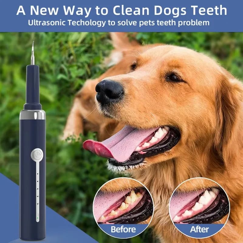 Denti Cleaning Machine, Plaque and Tartarus Removal Electric Kit, Ultrasonic Toothbrush for Dogs