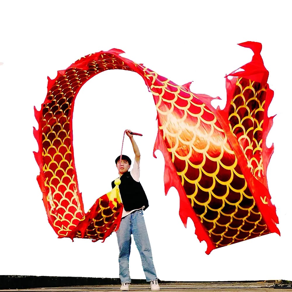 6 Meters Dragon Poi with Ball Set, 19.6 FT Outdoor Ribbon Streamer with Weighted Ball and Swing Rope Combo for Beginners and Pro
