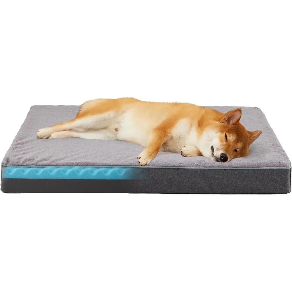 Letto Ortopedico Grande per Cani con Memory Foam Rinfrescante, Rivestimento Lavabile e Fodera Impermeabile (35x22)