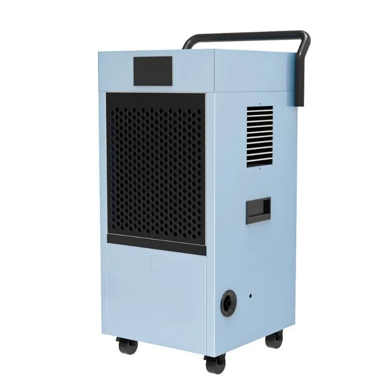 Deumidificatore d'aria portatile da 90 litri, silenzioso, per seminterrati, piante e armadi.