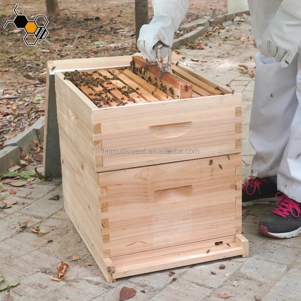 Bee Keeping Equipment Langstroth Beehive Bee Hive Box For Bees