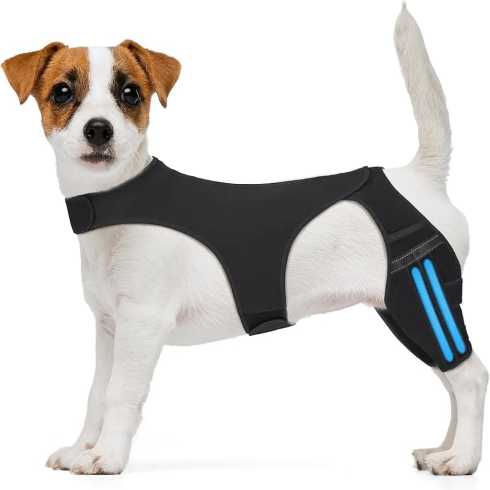 Ginocchiera per cani regolabile Staffa di supporto per gambe durevole e traspirante Design riflettente Supporto per articolazioni Protezione per le ferite del ginocchio per animali domestici