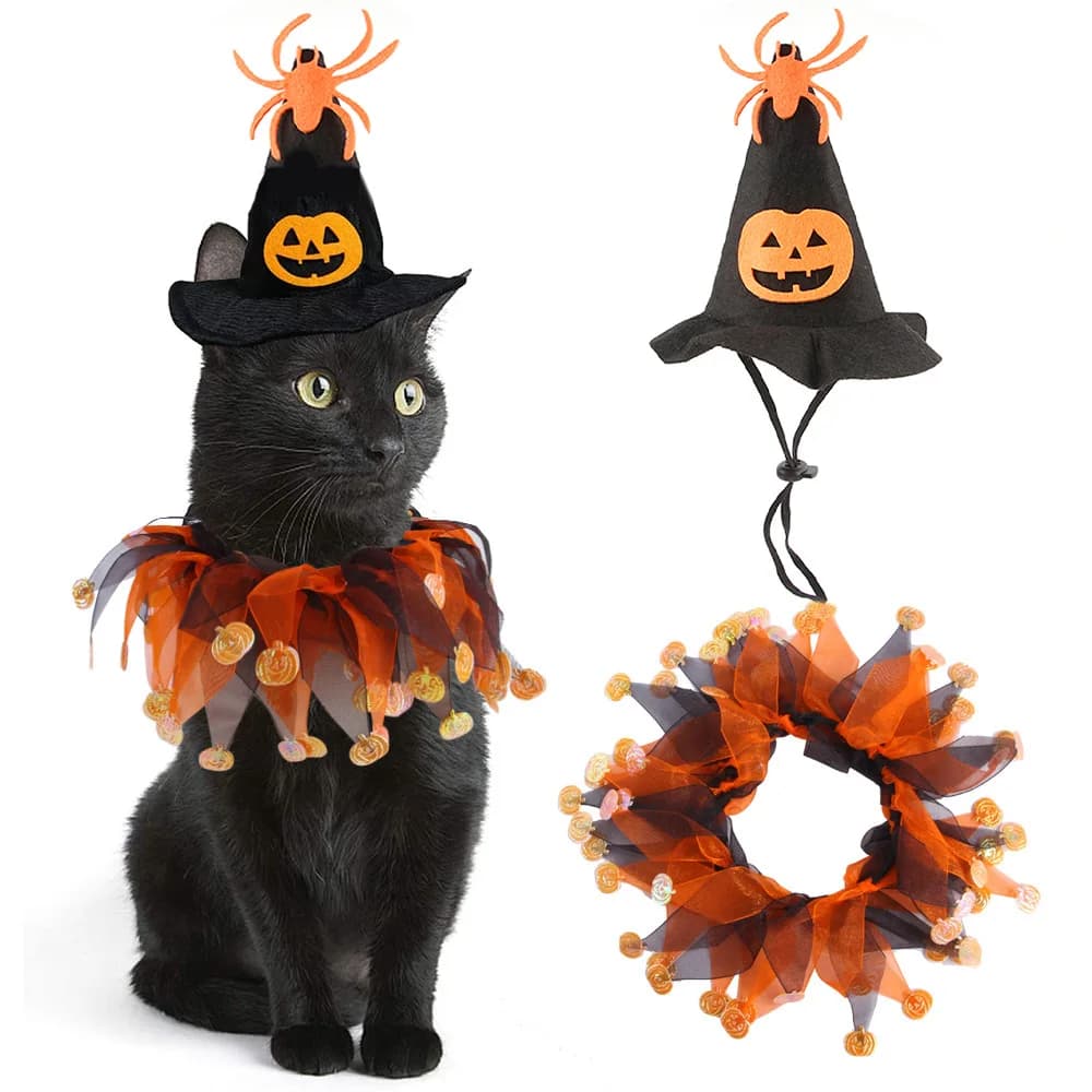 Costume di Halloween per cani e gatti Stampa scheletro Mantello con cappuccio Scaldacollo Set Vestiti per animali Accessori per giacche Accessori per cani Vestiti per cani