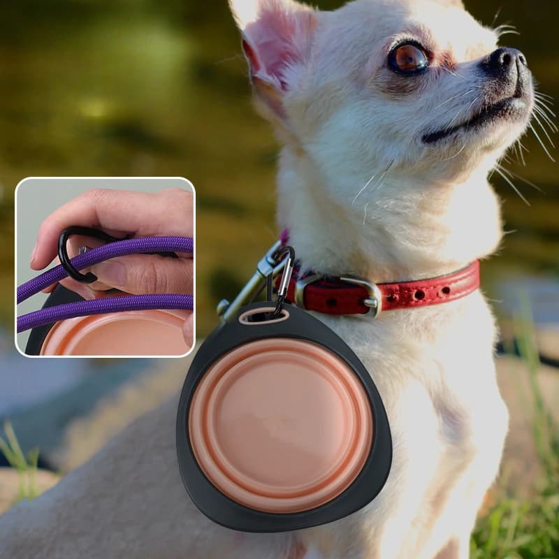 Ciotola per alimenti per cuccioli portatile pieghevole da viaggio all'aperto da 320 ml Ciotola per alimenti per animali domestici Ciotola pieghevole in silicone per animali domestici