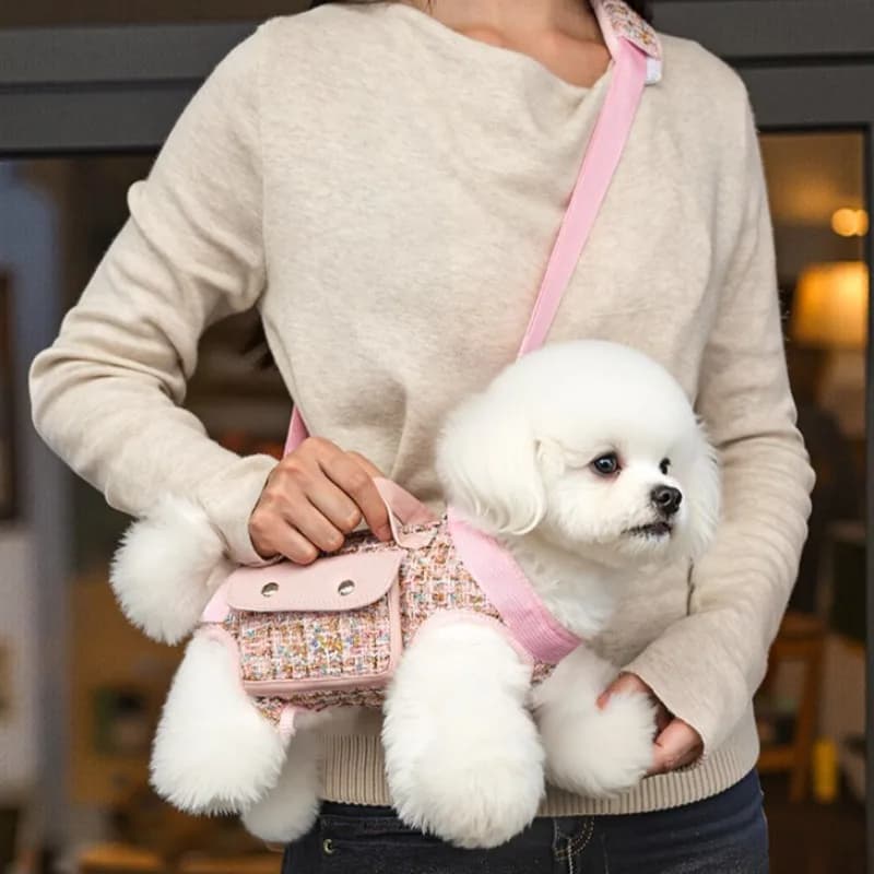 Pet Dog Harness Vest with Leash Set Stylish Breathable Mesh Dog Backpack Detachable Pocket Handles for Small Large Dogs