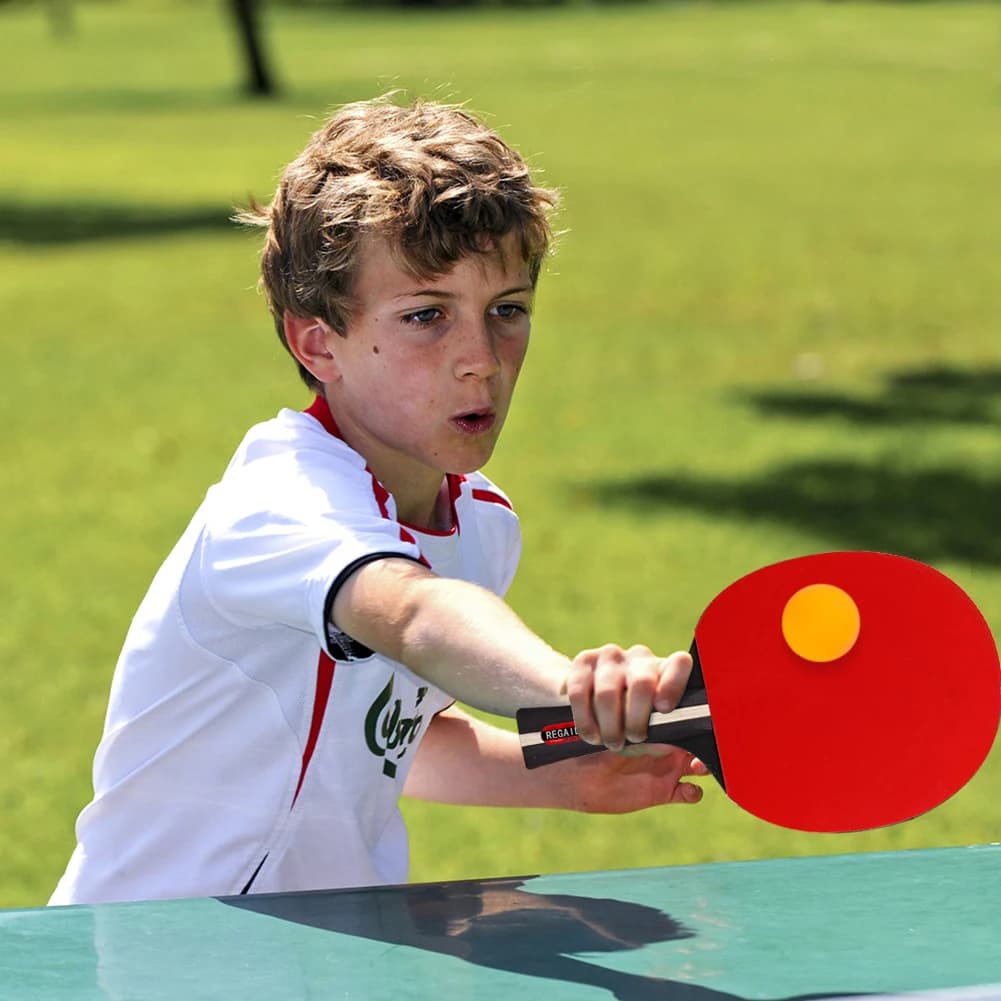 Set Racchette da Ping Pong Professionali con 2 Racchette e 3 Palline, con Borsa per Principianti, Allenamento e Gioco