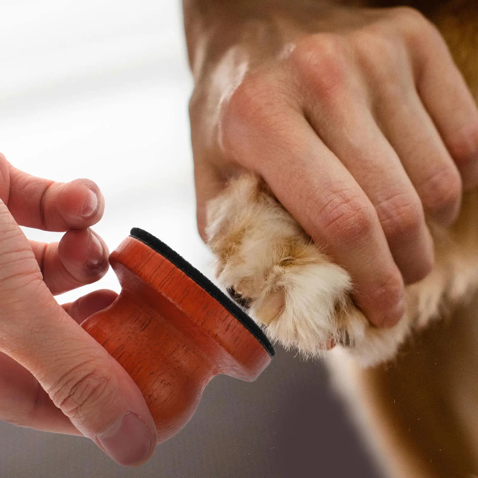 Set Lima per Unghie in Legno per Cani, Rimovibile, Ergonomica, con Tavoletta Rotonda, Strumento Sicuro per la Cura delle Unghie di Animali Domestici, per Uso Domestico e Cuccioli
