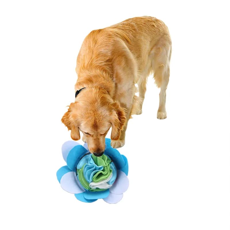 Tappetino per sniffare animali domestici Fiori colorati con ventose Addestramento per animali domestici per cani Utensili da gioco per sniffare Forniture semplici per ciotole per odori di cibo lento