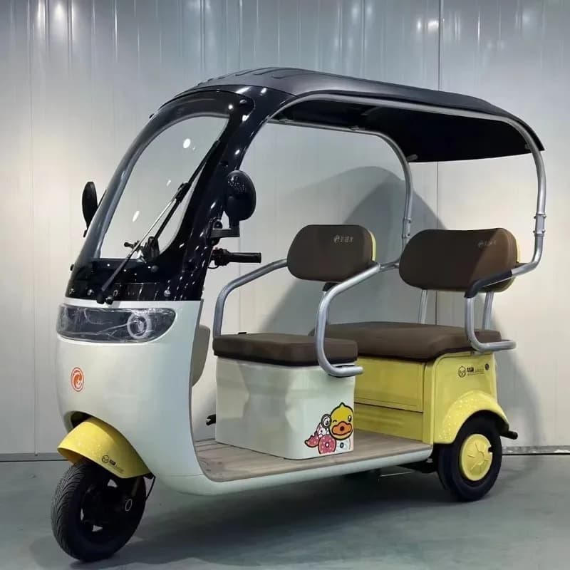 Triciclo elettrico per 3 persone da 60 V Bicicletta a 3 ruote, vagone passeggeri per merci familiari con certificazione a corpo aperto