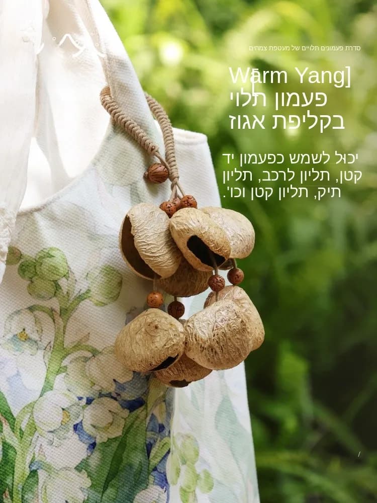 Mensong Natural Fruit Handheld Chimes Warm Sun Fruit Chimes Accompanying Wind Chimes Sound Therapy Musical Instrument Gift