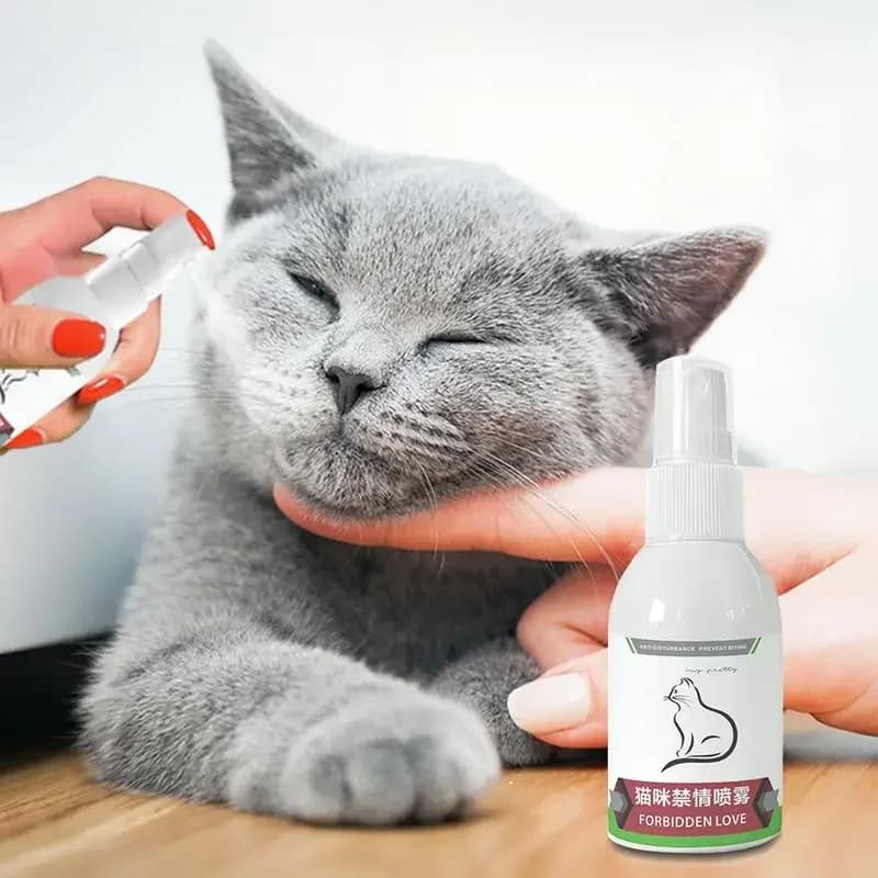 Spray calmante per feromoni da 50 ml per gatti domestici Rilassanti naturali sicuri per gatti Animali domestici Spray calmante per feromoni a lunga durata