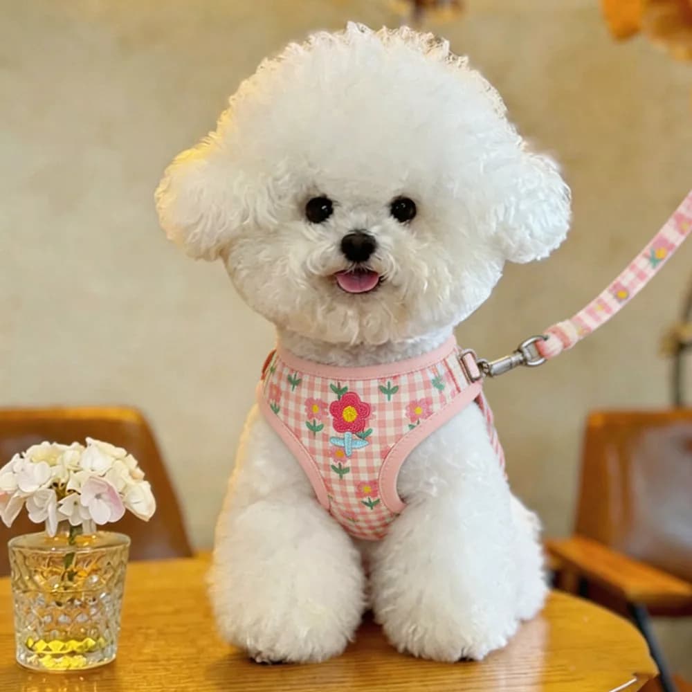 Dog Harness Vest Chest Strap Set Breathable Mesh Floral Pet Harness For Small Medium Dogs Outdoor Dog Supplies Bichon Frise