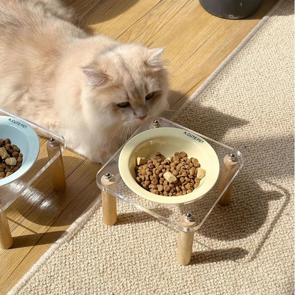Single/Double Bowl Cat Bowl with Acrylic Stand Increased Height Anti-Spill Ceramic Pet Food Basin Non-Slip Anti-vomiting