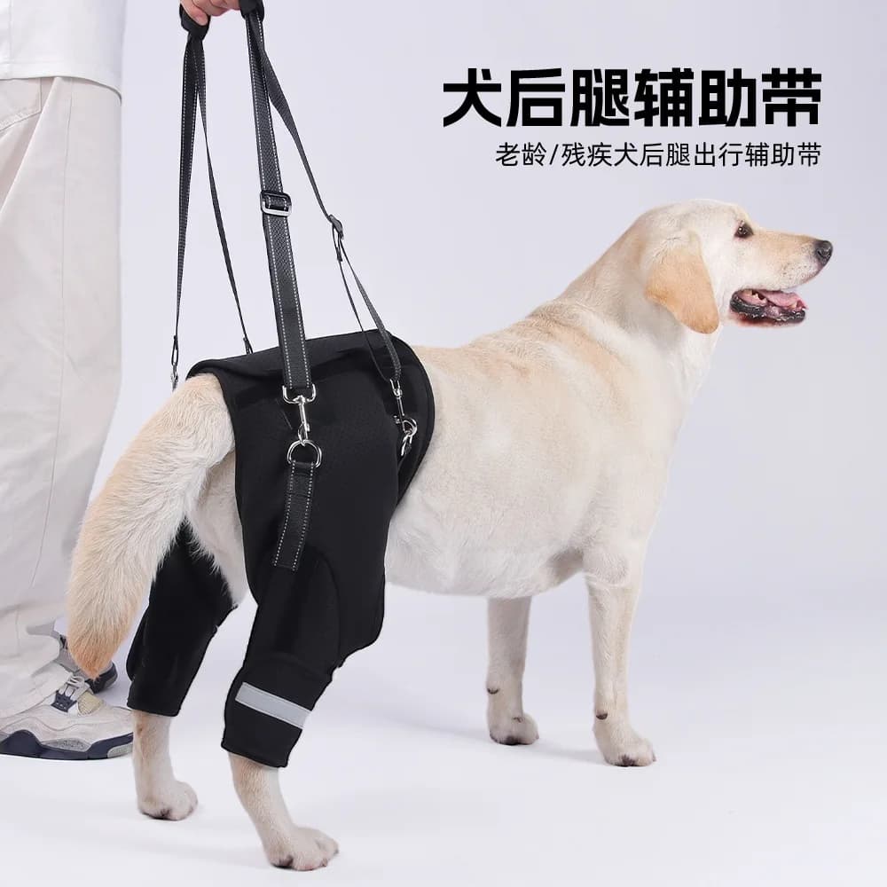 Cinture a rete per gamba posteriore per cani da compagnia Staffa da passeggio Imbracatura di supporto Cura di sicurezza Esercizio di riabilitazione Tutore per gambe Aiuta l'imbracatura da passeggio