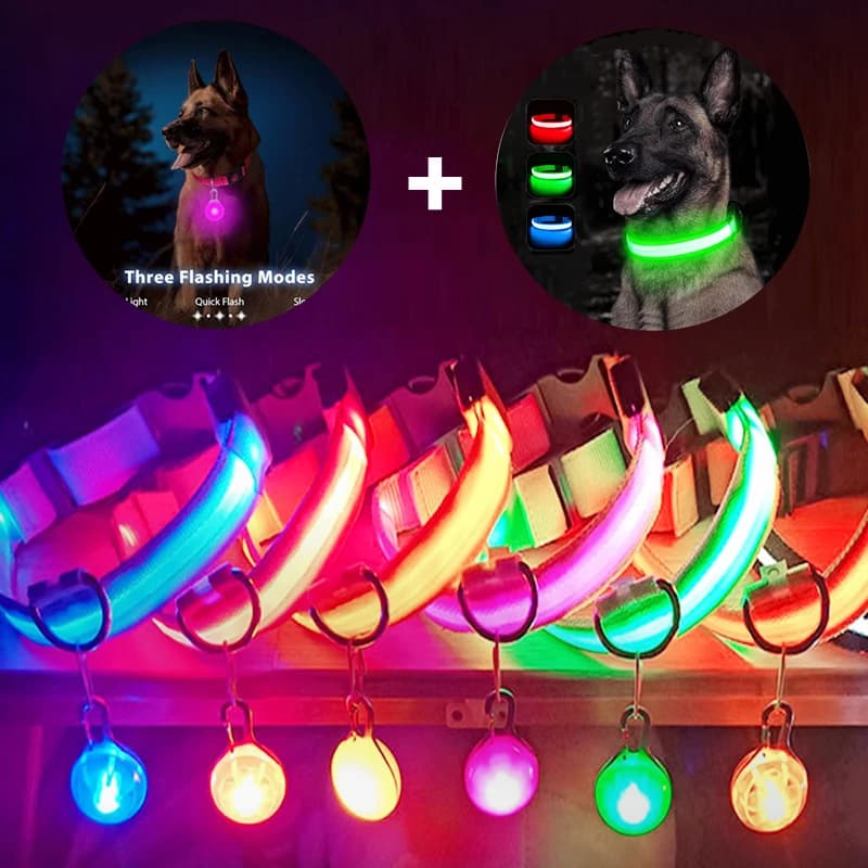 Collare per cani luminoso con ricarica USB e ciondolo rimovibile, luce LED di lusso brillante per cani di piccola taglia e gatti, collare di sicurezza notturna, vendita all'ingrosso