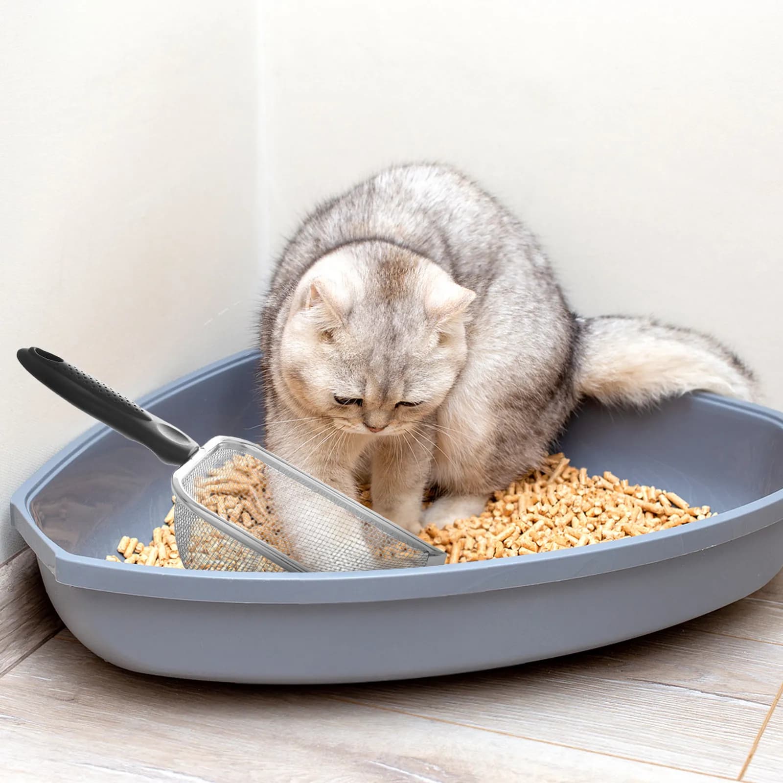 2 Pezzi Paletta per Lettiera in Acciaio Inossidabile con Setaccio a Maglia Fine 2x2mm per Facile Pulizia di Escrementi di Gatto, Mangime per Pollame, Sabbia, Escrementi di Cavallo