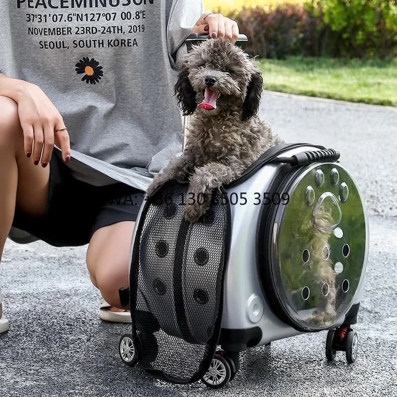 Trasportino per Animali Domestici Trasparente Multiuso Approvato dalle Compagnie Aeree con Ruote, Prezzo di Fabbrica, Vendita Calda