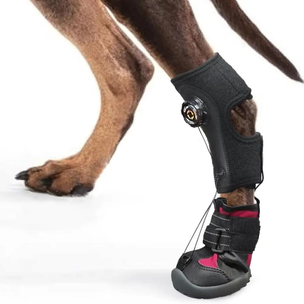 Anti Dirt Corrective Dog Shoes Wear-Resistant Anti Drop No Knuckling Pet Boot Non-slip Adjustable Dog Footwear Indoor Use