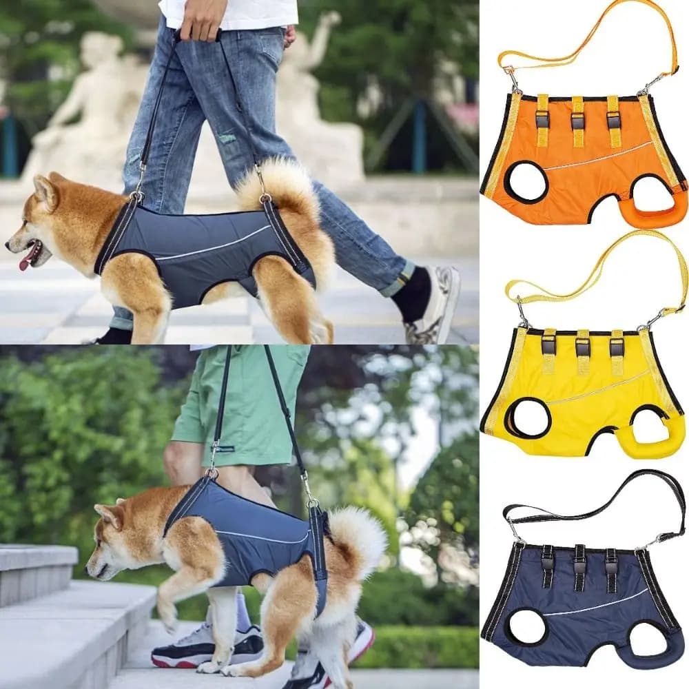 Supporto per le gambe Tutore per la schiena del cane Varie dimensioni Traspirante per cuccioli Sling Carrier Cintura di assistenza per animali Pettorina di sollevamento per cani regolabile Disabili