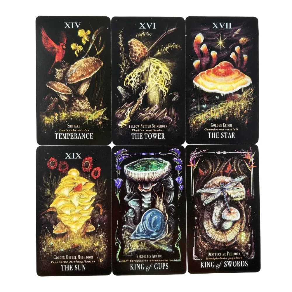 Midnight Magic Tarot Deck Of Mushrooms Cards, un mazzo di 78 carte Oracle English Visions Divination Edition Borad Playing Games