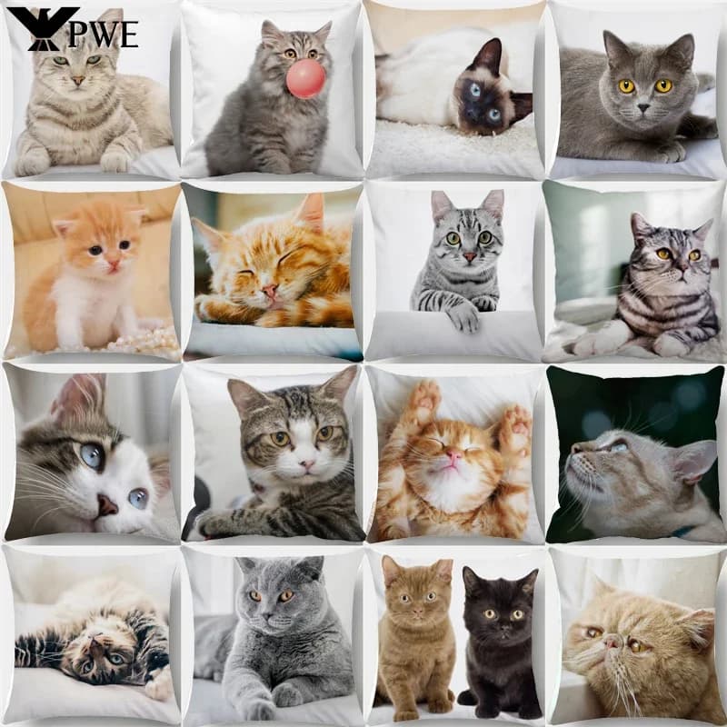 Loyalty for pillows for adorable cats Bubble to sleep Black cats Cushion for animals Sofa Living room Federa custom decorative for the house
