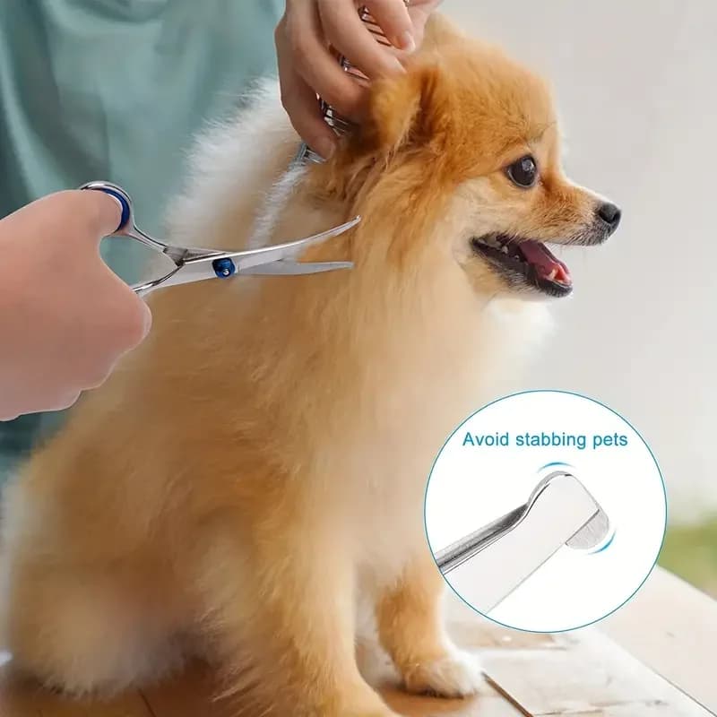 Premium Pet Grooming Scissors Safety Round Tip, Scissors Portable Stainless Steel Shears For Dogs & Cats Pets Shears Supplies