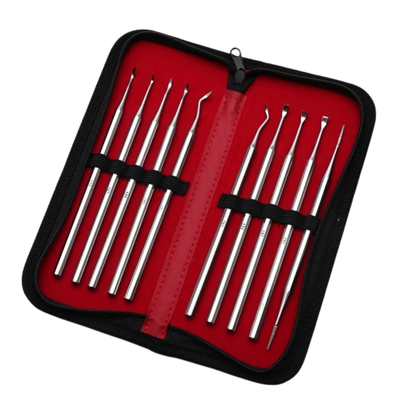 10pcs Dental Tartar Scaler Set Stainless Steel Tartar Removal Tool for Oral Care Teeth Cleaning Instrument Dentistry Supplies