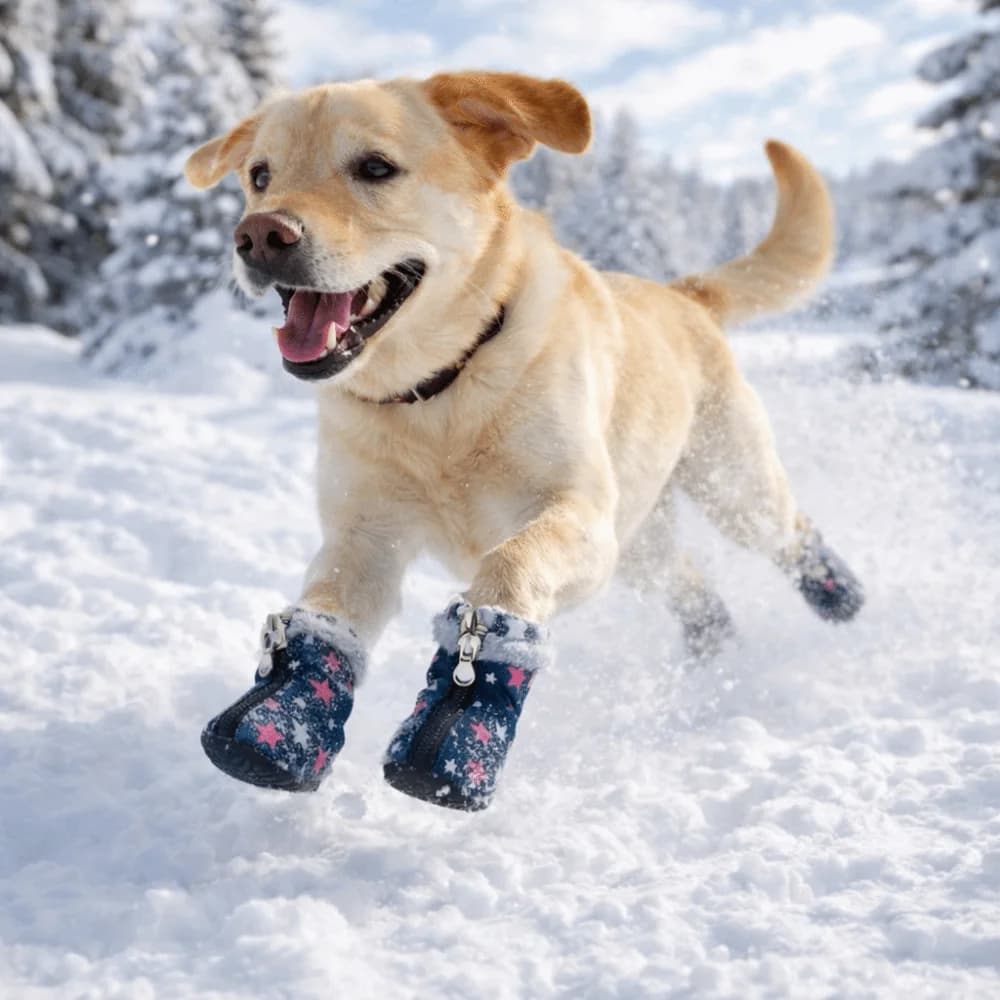 Set di 4 Stivali Invernali per Cani, Antiscivolo con Motivo a Stelle, Resistenti all'Usura, Imbottiti in Peluche per Escursioni
