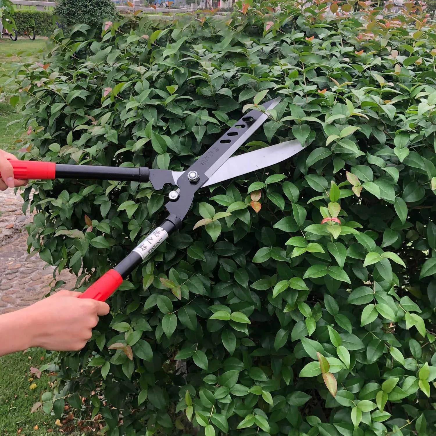 Forbici Professionali per Potatura Siepi e Giardino, Resistenti