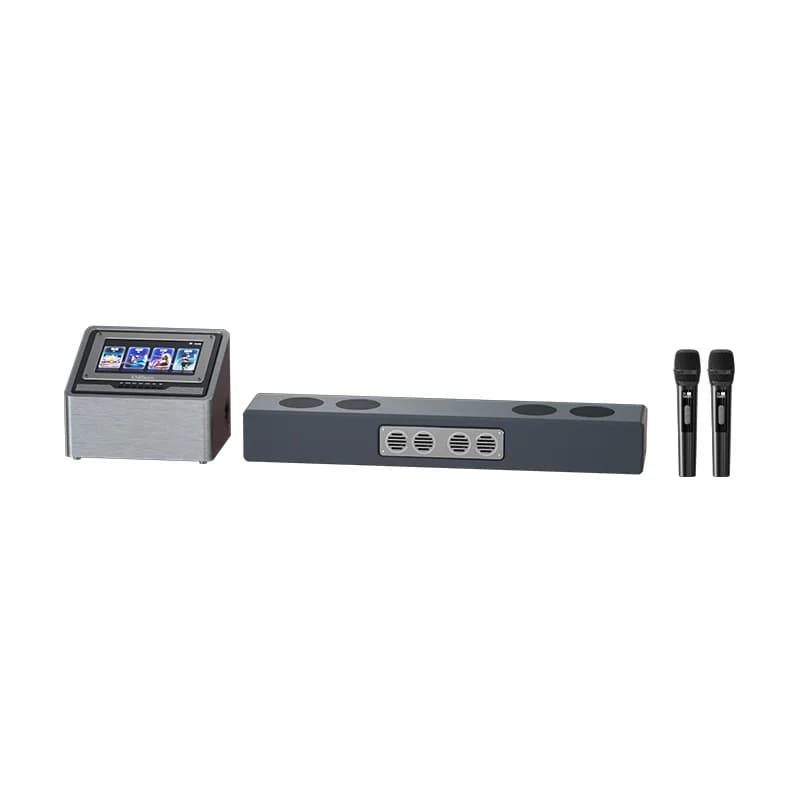Set karaoke all-in-one per home theater, molto venduto, con jukebox wireless per soggiorno e TV.