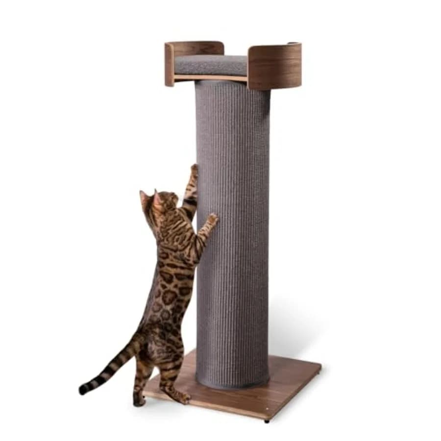 Torre Tiragraffi Gigante con Tettarella - Altezza 44,5 cm con Sisal Sostituibile e Cuccia Rimovibile in Finitura Noce - Durevole e Divertente per Gatti
