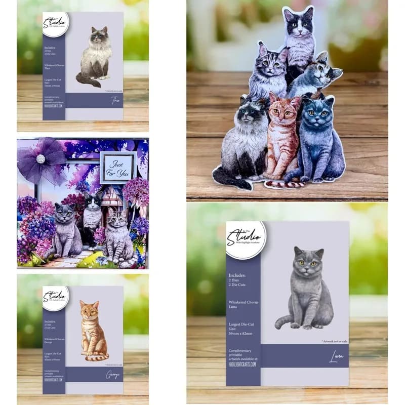 Fustelle in metallo per scrapbooking fai da te: Gatti Siamesi, Gatti Persiani e Gatti a pelo corto - Nuovi arrivi 2026