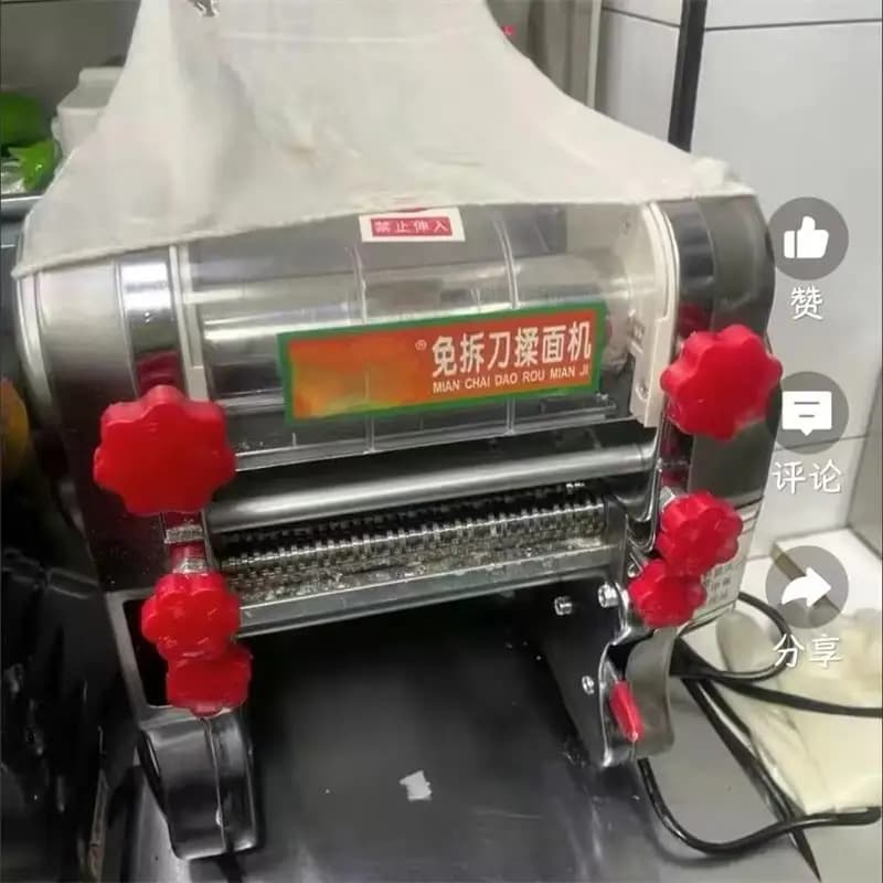 Macchina Elettrica per Pasta, Rullo per Sfoglia di Ravioli in Acciaio Inox
