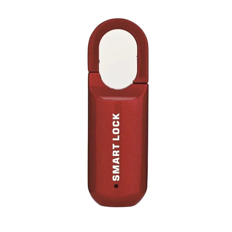 Nuovo Mini Lucchetto Biometrico con Impronta Digitale USB, Lucchetto Elettronico Senza Chiave per Bagagli, Serratura Intelligente per Porte con Impronta Digitale, Sblocco Rapido per Viaggi