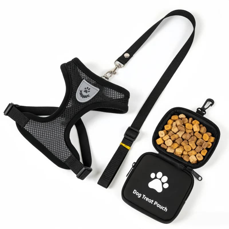 Set da Viaggio per Animali Domestici in Tre Pezzi: Pettorina Traspirante in Rete Antiesplosione per Cani, Guinzaglio Staccabile e Regolabile, Porta Snack