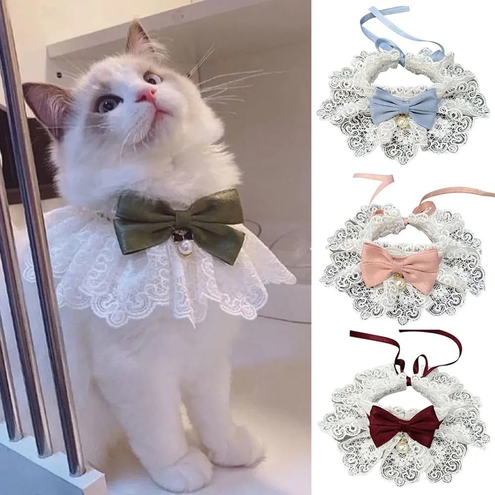 Accessori per animali domestici: Collana per gatti, Asciugamano per saliva di cane, Fazzoletto da collo per cane, Collare di perle, Fiocco in pizzo, Bavaglino per cuccioli