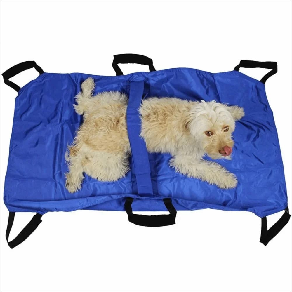 Barella da trasporto per animali domestici impermeabile Barella da trasporto per cani pieghevole a 6 maniglie Confortevole bandana con grande carico Prodotti per animali domestici