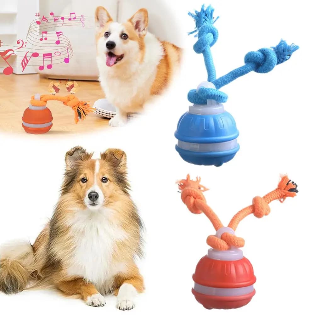Interactive toy ball for dogs with rope Rolling ball activated by the electronic toy movement for indoor cat dogs for puppy training ball